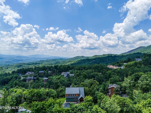 804 Upper Picadilly Ln, Gatlinburg, TN 37738 - photo 36