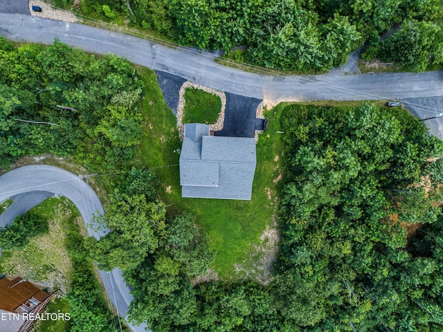 804 Upper Picadilly Ln, Gatlinburg, TN 37738 - photo 35