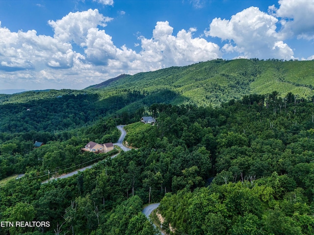 804 Upper Picadilly Ln, Gatlinburg, TN 37738 - photo 40