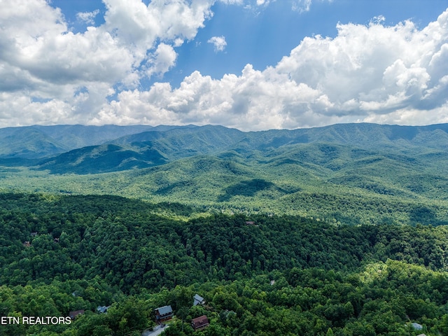 804 Upper Picadilly Ln, Gatlinburg, TN 37738 - photo 41