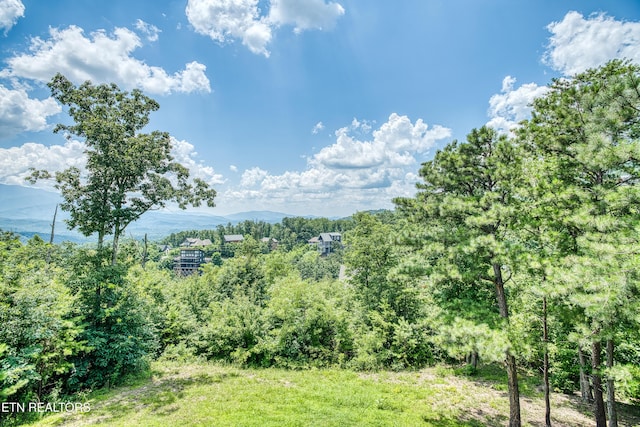 804 Upper Picadilly Ln, Gatlinburg, TN 37738 - photo 39