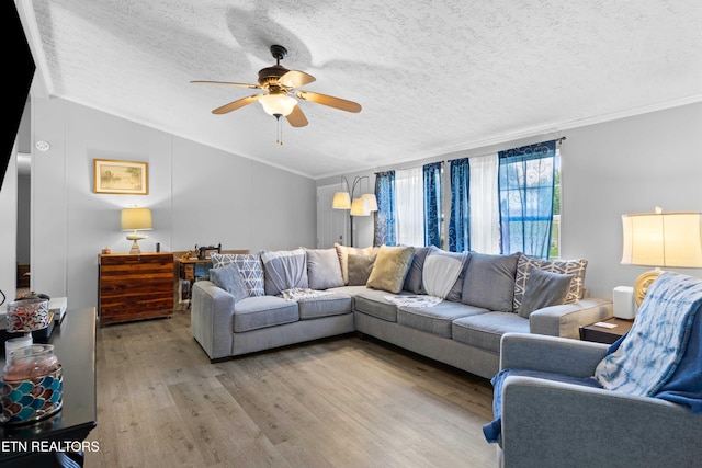 117 Loggers Ln, Clinton, TN 37716 - photo 6