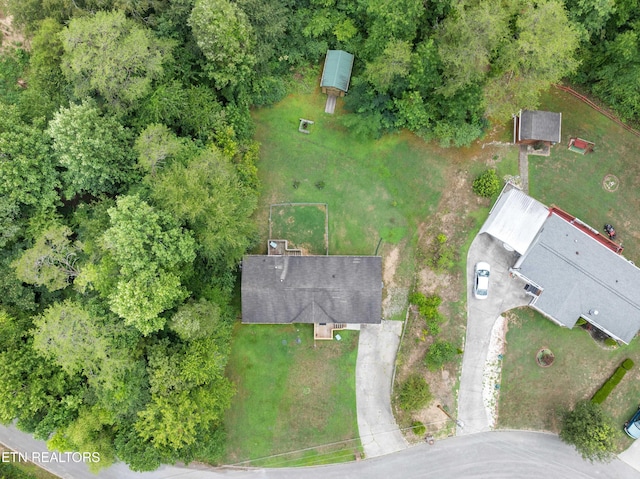 117 Loggers Ln, Clinton, TN 37716 - photo 31