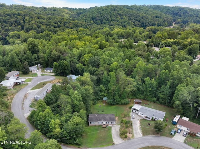 117 Loggers Ln, Clinton, TN 37716 - photo 32