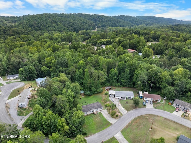 117 Loggers Ln, Clinton, TN 37716 - photo 33