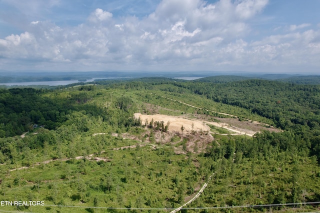 980 Wasson Rd, Ten Mile, TN 37880 - photo 1
