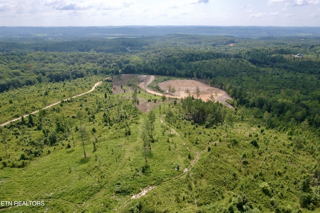 980 Wasson Rd, Ten Mile, TN 37880 - photo 2