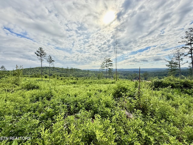980 Wasson Rd, Ten Mile, TN 37880 - photo 3