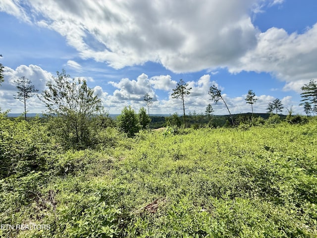 980 Wasson Rd, Ten Mile, TN 37880 - photo 5