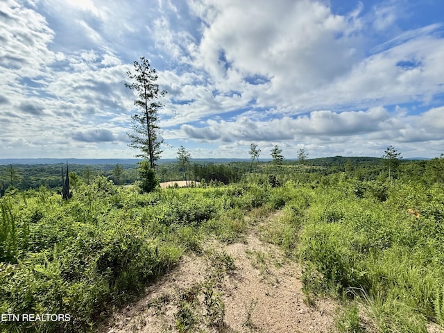 980 Wasson Rd, Ten Mile, TN 37880 - photo 6