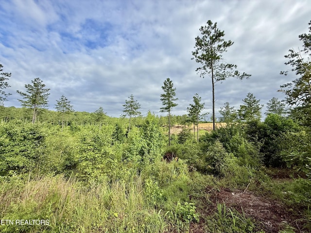 980 Wasson Rd, Ten Mile, TN 37880 - photo 9