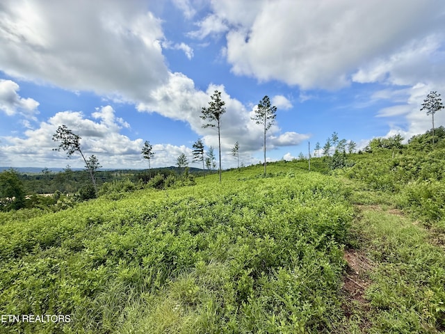 980 Wasson Rd, Ten Mile, TN 37880 - photo 10