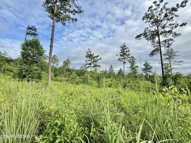 980 Wasson Rd, Ten Mile, TN 37880 - photo 12