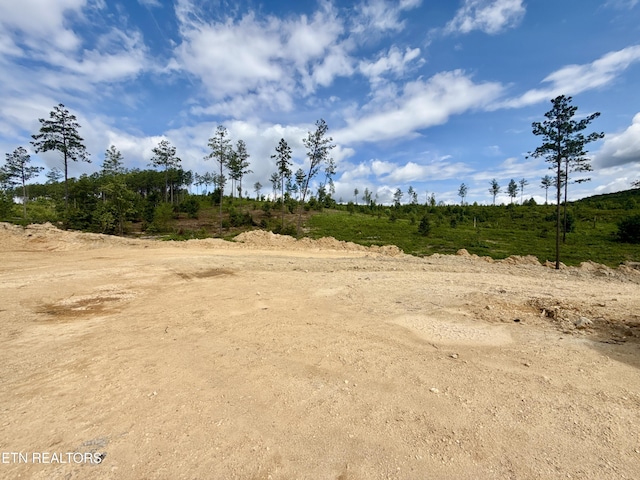 980 Wasson Rd, Ten Mile, TN 37880 - photo 16