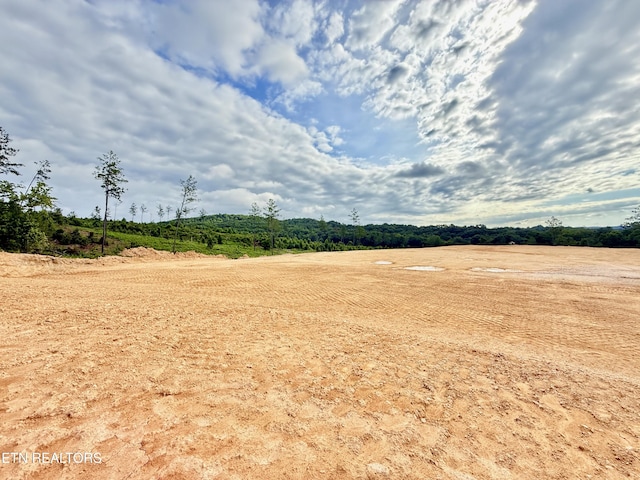 980 Wasson Rd, Ten Mile, TN 37880 - photo 17