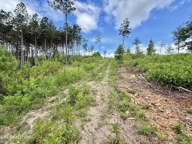 980 Wasson Rd, Ten Mile, TN 37880 - photo 19