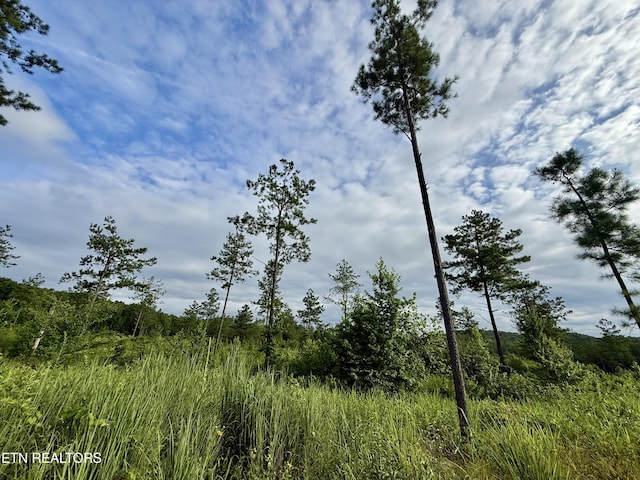 980 Wasson Rd, Ten Mile, TN 37880 - photo 20