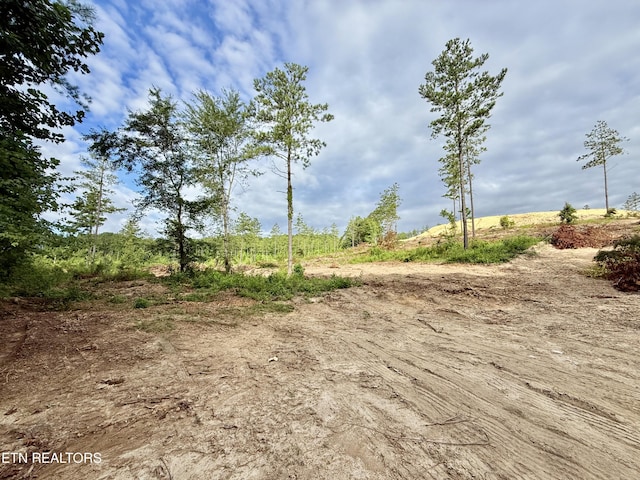 980 Wasson Rd, Ten Mile, TN 37880 - photo 21