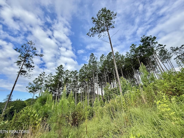 980 Wasson Rd, Ten Mile, TN 37880 - photo 22