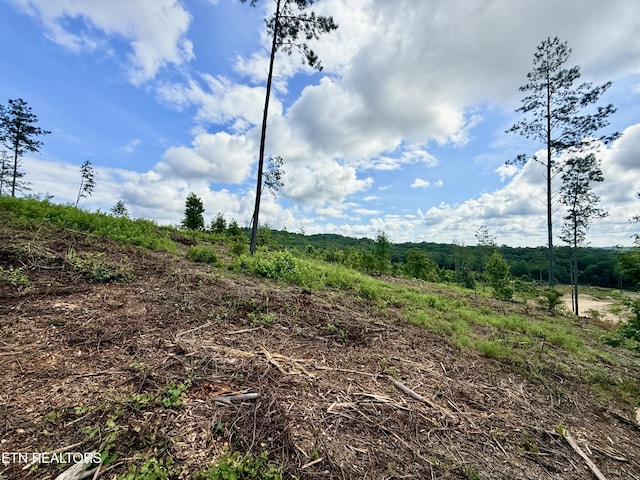 980 Wasson Rd, Ten Mile, TN 37880 - photo 23