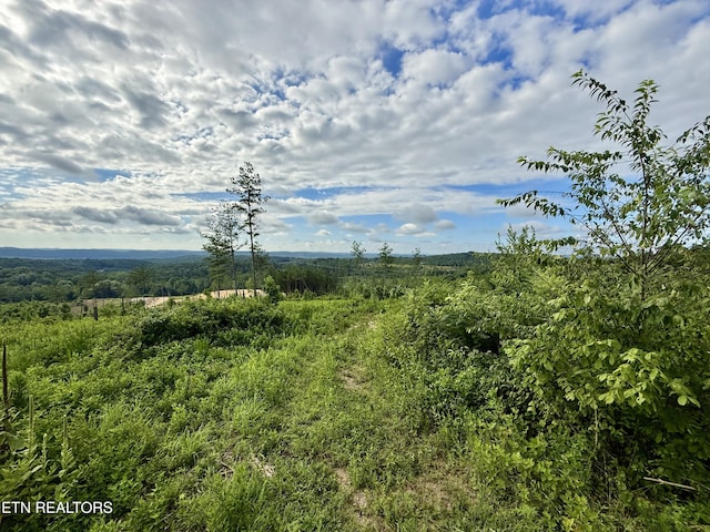 980 Wasson Rd, Ten Mile, TN 37880 - photo 24