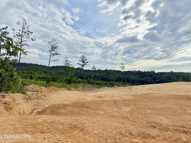 980 Wasson Rd, Ten Mile, TN 37880 - photo 27