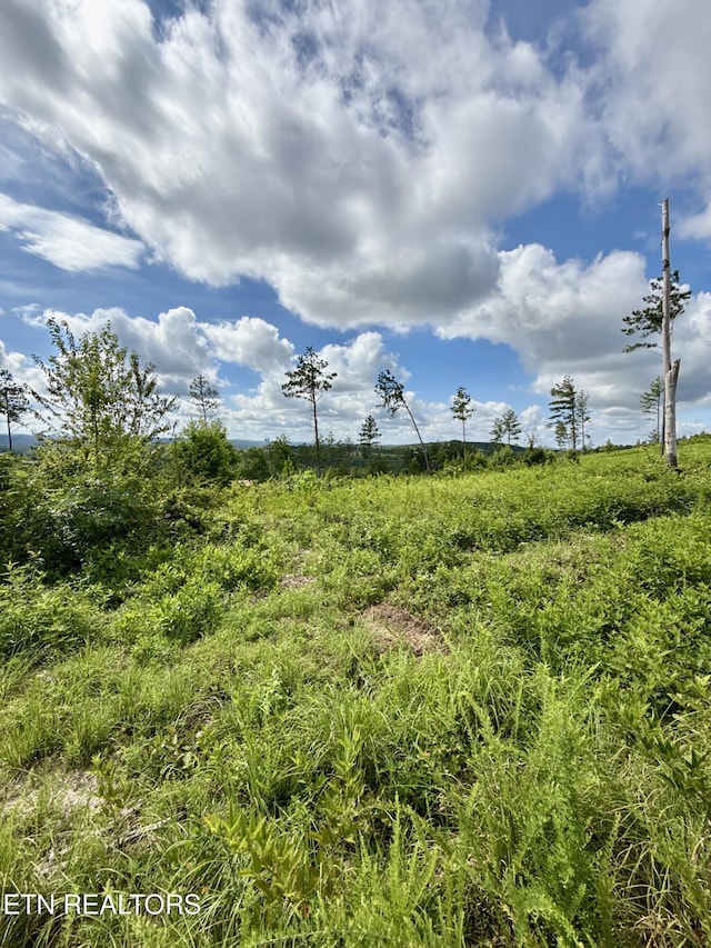 980 Wasson Rd, Ten Mile, TN 37880 - photo 30
