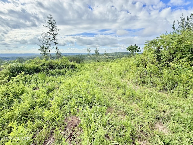 980 Wasson Rd, Ten Mile, TN 37880 - photo 32