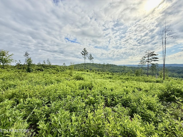 980 Wasson Rd, Ten Mile, TN 37880 - photo 33