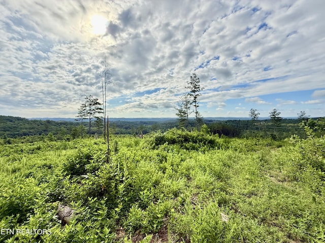 980 Wasson Rd, Ten Mile, TN 37880 - photo 34