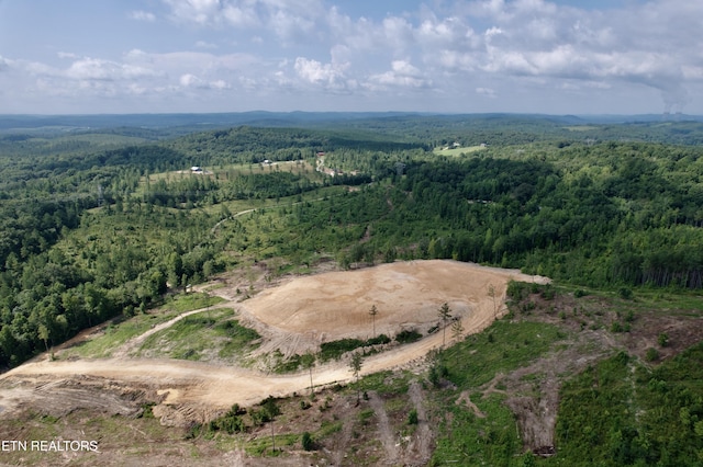 980 Wasson Rd, Ten Mile, TN 37880 - photo 36