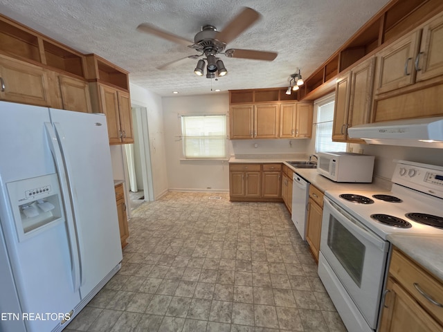107 W Pawley Rd, Oak Ridge, TN 37830 - photo 4