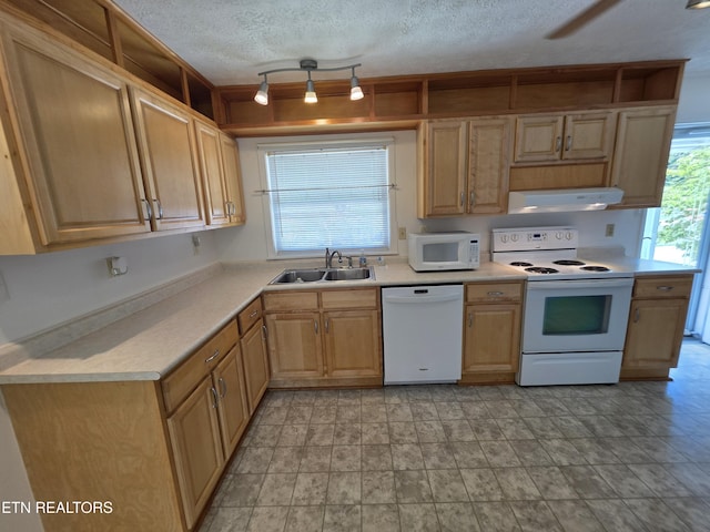 107 W Pawley Rd, Oak Ridge, TN 37830 - photo 6
