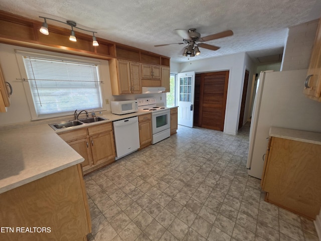 107 W Pawley Rd, Oak Ridge, TN 37830 - photo 8