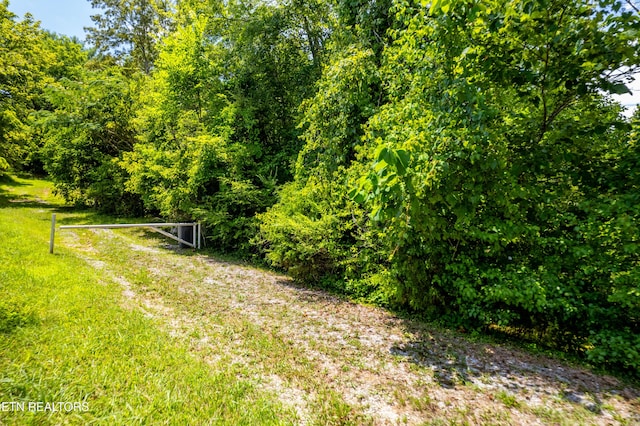 1416 Eureka Rd, Rockwood, TN 37854 - photo 1