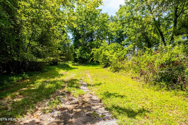 1416 Eureka Rd, Rockwood, TN 37854 - photo 4