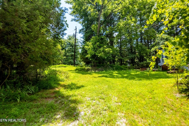 1416 Eureka Rd, Rockwood, TN 37854 - photo 5