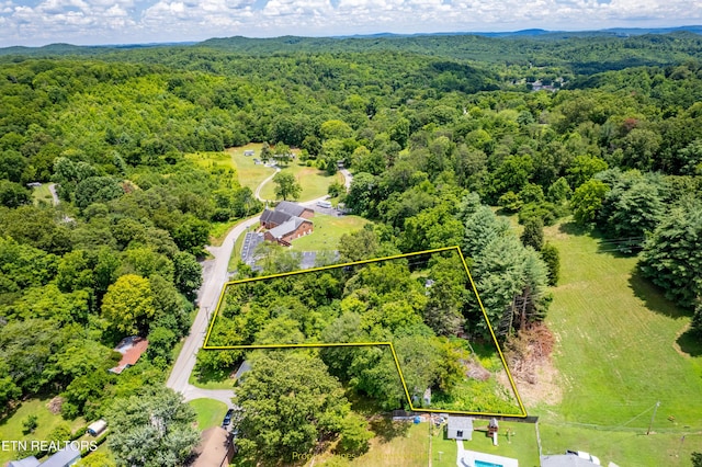 1416 Eureka Rd, Rockwood, TN 37854 - photo 9