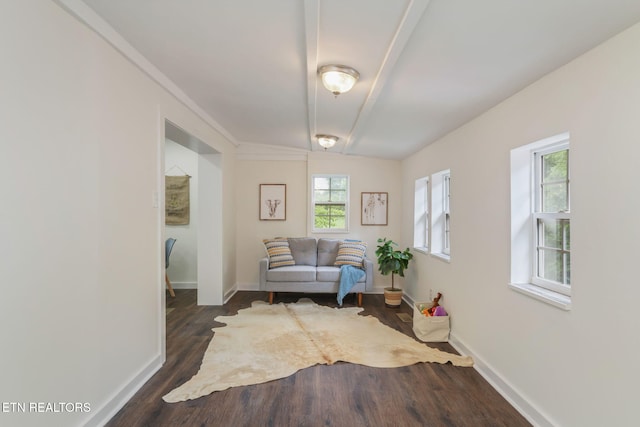 5706 Wallwood Rd, Knoxville, TN 37912 - photo 19