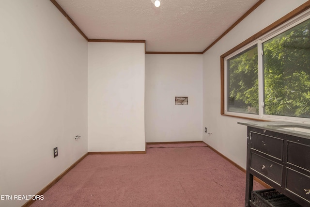 614-B Nydeck Rd, Robbins, TN 37852 - photo 29