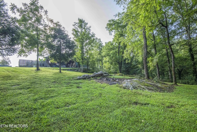 614-B Nydeck Rd, Robbins, TN 37852 - photo 40