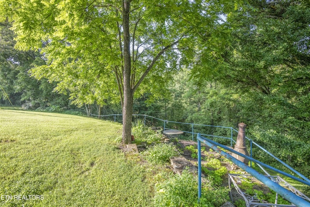 614-B Nydeck Rd, Robbins, TN 37852 - photo 41