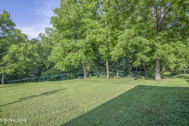 614-B Nydeck Rd, Robbins, TN 37852 - photo 43