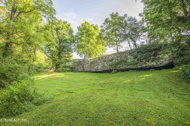 614-B Nydeck Rd, Robbins, TN 37852 - photo 44