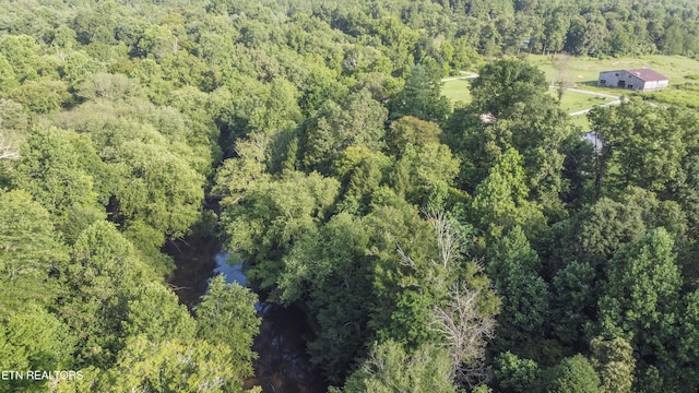 614-B Nydeck Rd, Robbins, TN 37852 - photo 46