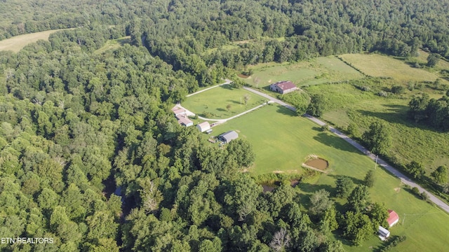 614-B Nydeck Rd, Robbins, TN 37852 - photo 49