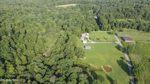 614-B Nydeck Rd, Robbins, TN 37852 - photo 50