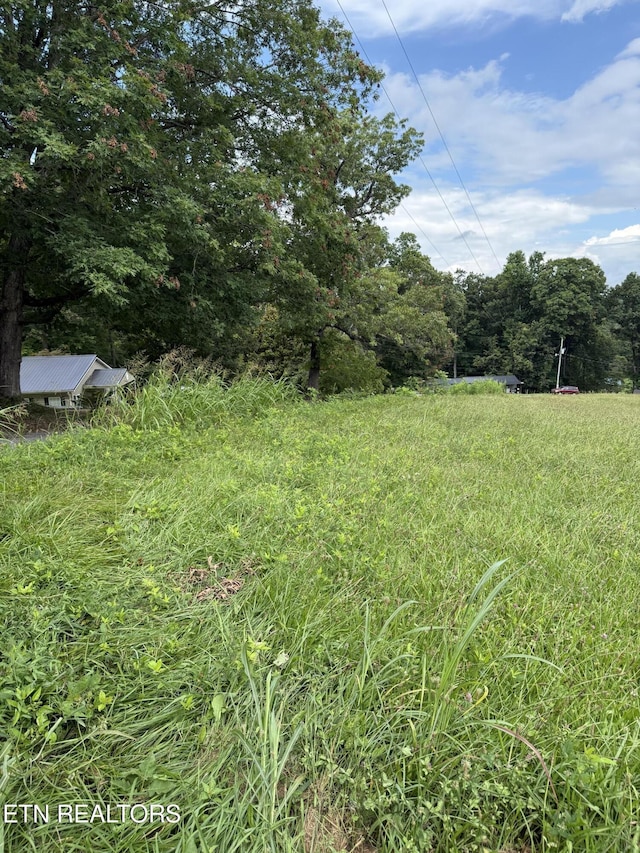 Cupp Ridge Rd, New Tazewell, TN 37825 - photo 2