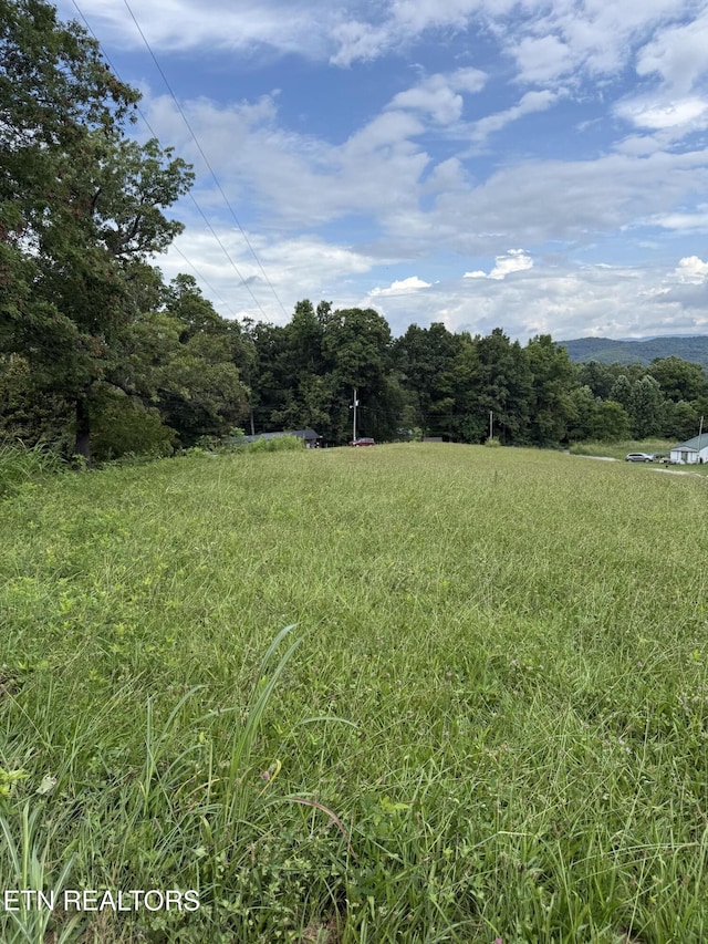 Cupp Ridge Rd, New Tazewell, TN 37825 - photo 3