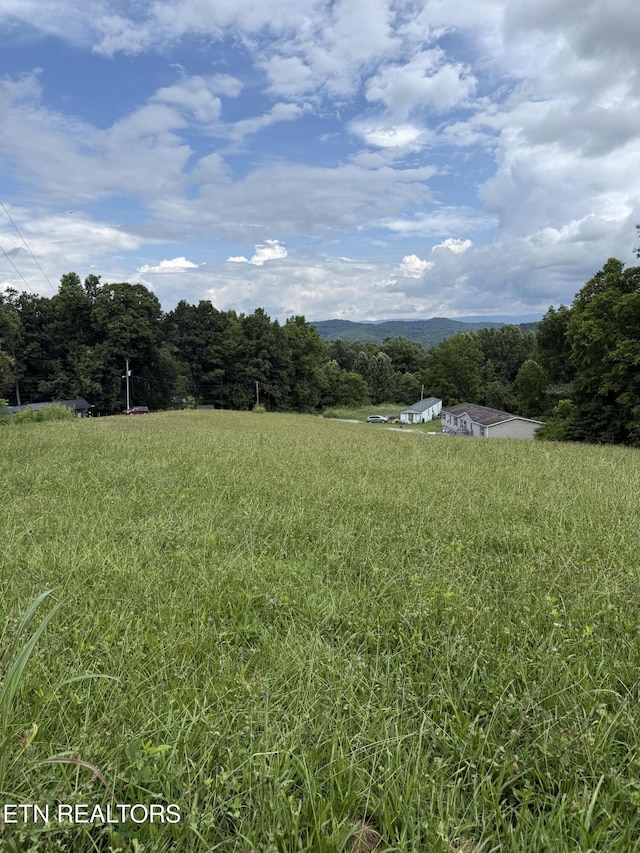 Cupp Ridge Rd, New Tazewell, TN 37825 - photo 4